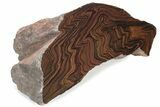 Polished Tiger Iron Stromatolite Section - Ga #234606-2